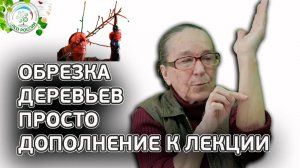 Нужно знать до обрезки плодовых деревьев. Кольчатки, плодушки, приросты, плодовые прутики.