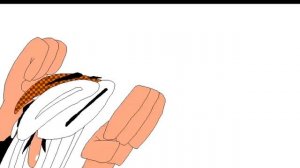 ЛУЧШИЙ МОД НА КРУГИ!? Pizza Tower: Egg's Lap Mod