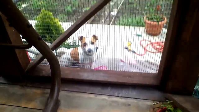 Моя беседка смотреть онлайн