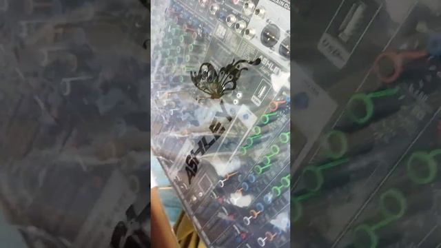 Unboxing Ashley Macro 12 смотреть онлайн
