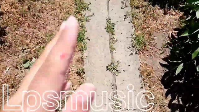 Советы как сделать фото с лпс?🌿 How take photo with lps? 🌿 смотреть онлайн