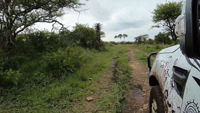 Tala Private Game Reserve, Day Trip. смотреть онлайн