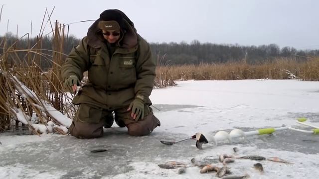 безмотылка ловля окуня на удочку без кивка смотреть онлайн