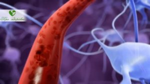 Внимание! После этого видео захочется выкинуть половину аптечки. Смешал мёд с мумиё, добавил...