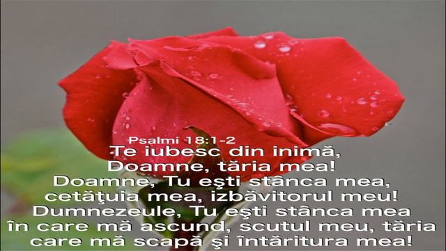 ~ Psalm 18:1-2 🖊️ смотреть онлайн