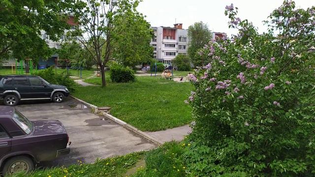 Цветëт сирень! 04.06.2020 г. смотреть онлайн