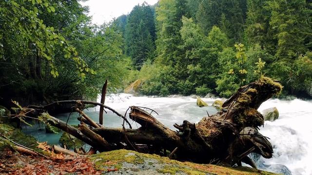Beautiful forest river. Relaxing Nature sounds (10 hours) White Noise for sleep. смотреть онлайн