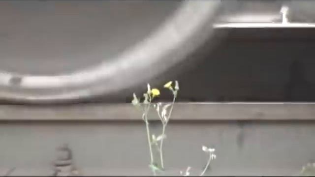 Крушение на перегоне Ерал - Симская, 11 августа 2011 года