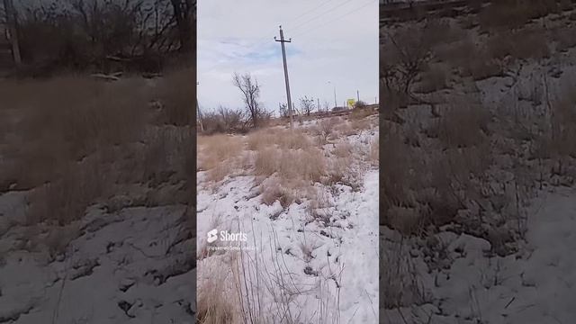 2 февраля 2024 г..mp4 смотреть онлайн