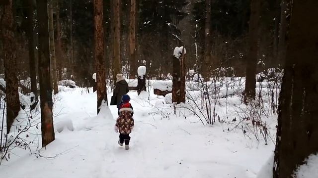 Дятел зимой в лесу! смотреть онлайн