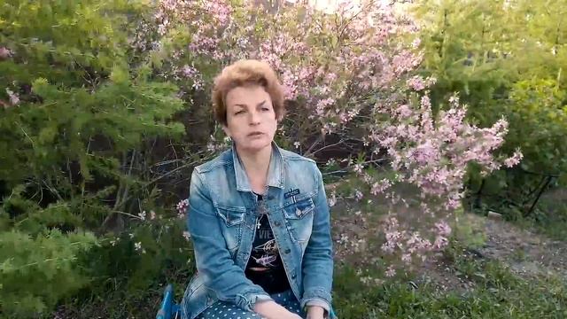 Как спасти розы? Бактериальный рак смотреть онлайн