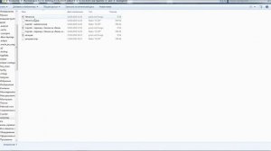 НЕ ЗАПУСКАЕТСЯ S.T.A.L.K.E.R Зов Припяти|Ошибка x ray Engine 1.6