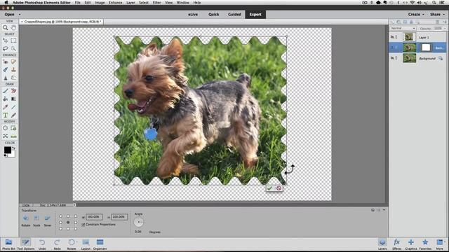 Crop Photos Into Shapes With Photoshop Elements