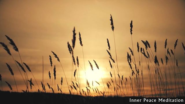 Flauta Curativa Tibetana | Elimine El Estrés Y Calme La Mente, Elimine Los Bloqueos Mentales