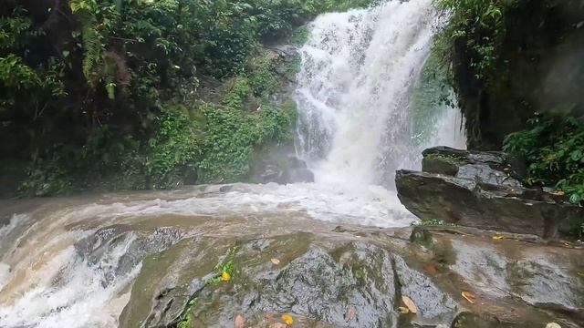 Darjeeling Tour Guide 2023 | Darjeeling Tour | দার্জিলিং ভ্রমণ গাইড ২০২৩ смотреть онлайн