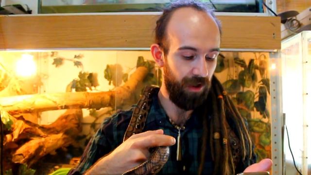 КАК Я ОТНОШУСЬ К ЛЮДЯМ, КОТОРЫЕ НЕНАВИДЯТ РЕПТИЛИЙ? Ответы на вопросы. смотреть онлайн