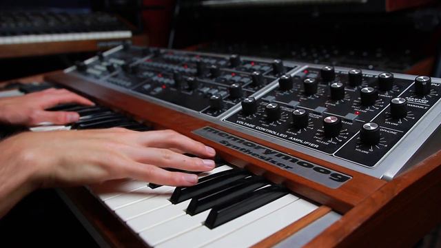 Moog Memorymoog - Rosen Sound Demo