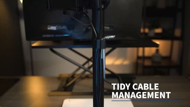 STAND-V012T Dual Vertical Monitor Extra Tall Desk Mount by VIVO смотреть онлайн