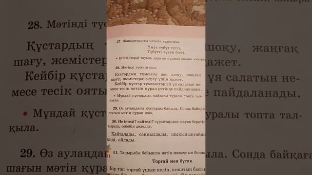 110саб казак тили смотреть онлайн