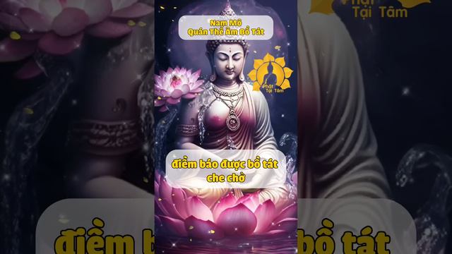 3 điềm Báo Chứng Tỏ Bạn đang được Phật Bồ Tát Che Chở 🙏 Phật Tại Tâm