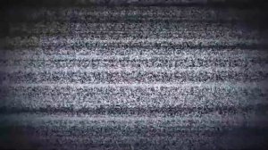 ПЕРВЫЙ МЕСЯЦ С АУССИ I с чего начинается щенок?