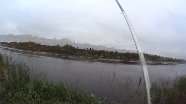 Рыбалка на реке Волхов | Поплавочная снасть | Чехонь смотреть онлайн