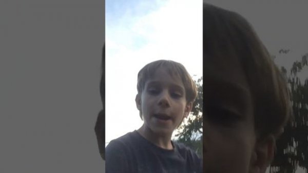 Игра лиса на поджопник