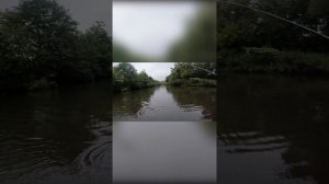 Красавица щука всегда неожиданно клюёт! #shorts #рыбалка #спиннинг #щука