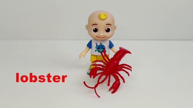 Sea Animals for Kids🐬Learn Sea Animals Names w real animals & toys | Shark Sea Turtle Lobster Fish смотреть онлайн