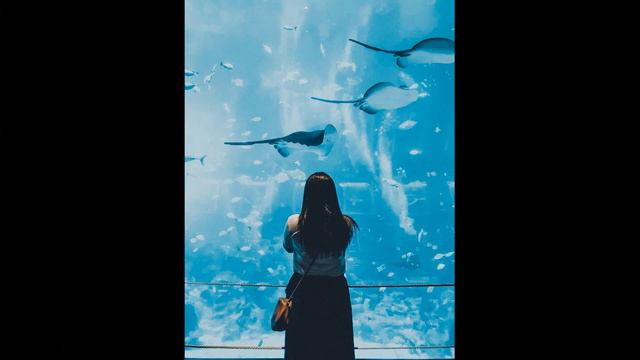 Разнообразие рыбы смотреть онлайн