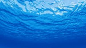 Физминутка для глаз "Морская"