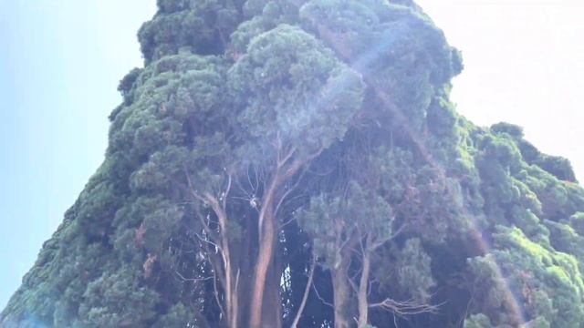 АБХАЗИЯ! ОТЕЛЬ АБААТА. РЕСТОРАН ГАГРИПШ! смотреть онлайн