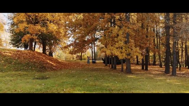 "You Raise Me Up". Cover version. Covered by Tatiana Yamberdova violin & Sergei Shishkov piano смотреть онлайн