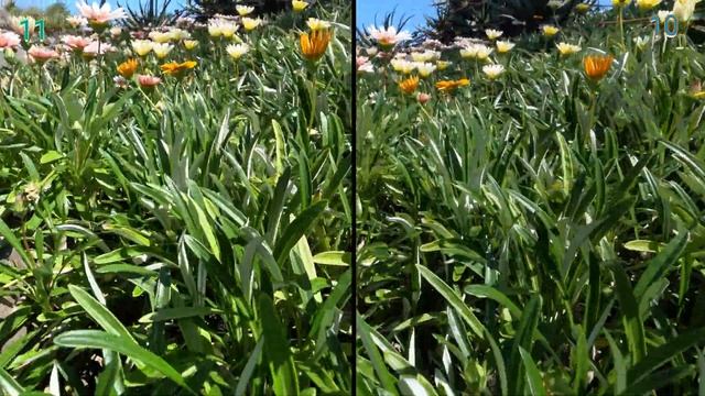 GoPro Hero 11...NEW 10-Bit Color ? Can you see a difference? смотреть онлайн