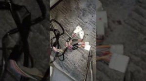 предохранитель прикуривателя автомобиля Тойота альфард