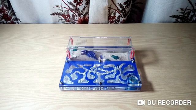 Как воскресить муравья?#LasiusNiger# смотреть онлайн