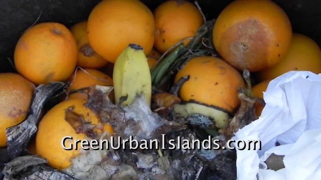 Explosive growth from a $2 black barrel composter смотреть онлайн