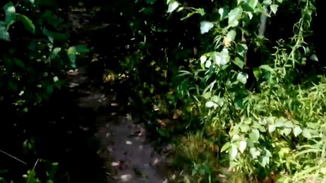 Сад номер 2 смотреть онлайн