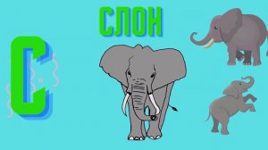 Учим алфавит с животными