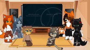 Реакция котов-воителей на countryhumans •2 часть (читать описание)