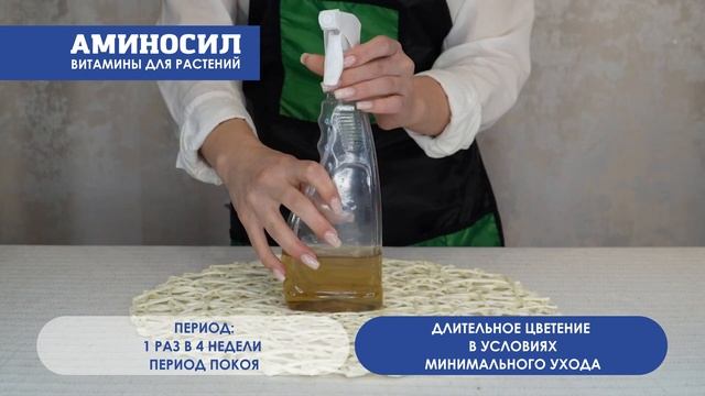 Инструкция к применению витаминного концентрата АМИНОСИЛ для орхидей смотреть онлайн