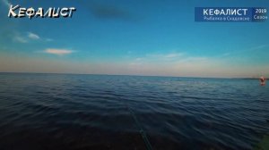 Снасти на кефаль! Монтаж ДОННОЙ СНАСТИ для рыбалки на кефаль: лобань, пиленгаса, долгоноса и сингир