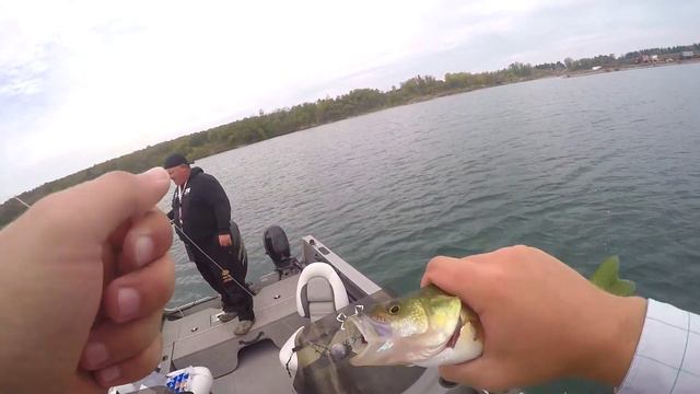 Random Lure Challenge with Scotties Outdoors смотреть онлайн