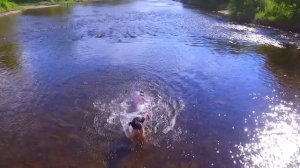 Девчонки купаются