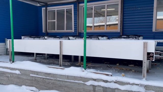 Крупный проект по шоковой заморозке полуфабрикатов смотреть онлайн