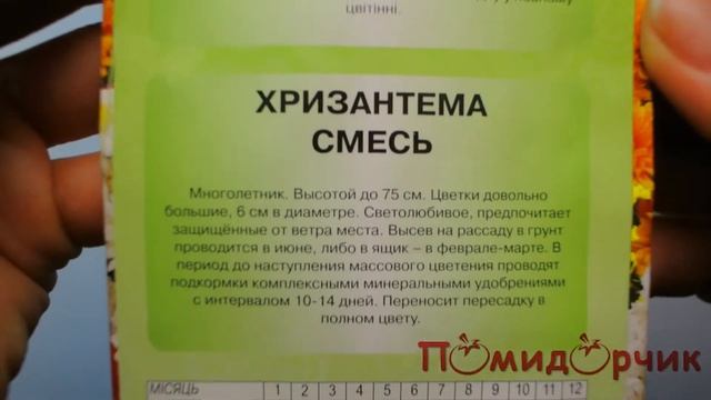Семена Хризантемы смесь - Помидорчик смотреть онлайн
