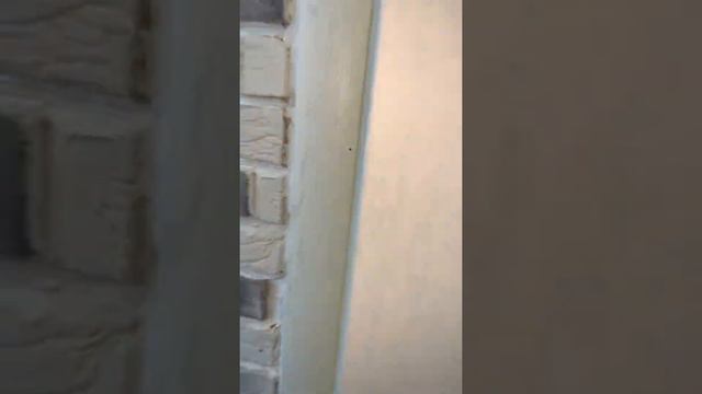 Квартира у моря по ул. Белорусская (12) смотреть онлайн