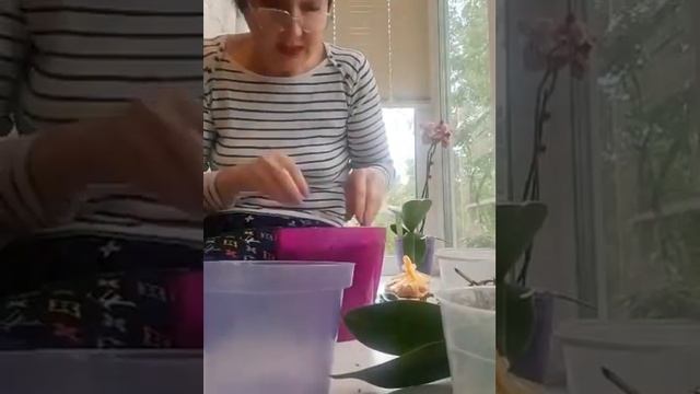 Как выбрать горшок. Эфир 2 июня 2020 года смотреть онлайн