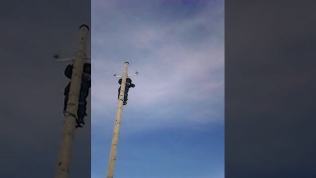 Электромонтажники учеба по столбам лазить на север смотреть онлайн