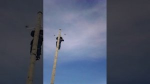 Электромонтажники учеба по столбам лазить на север